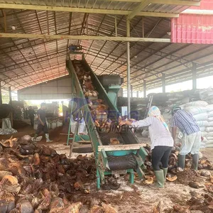 Palm Fiber Coconut Shell Fiber Extraction Machine Defibering Machine EPC thumbnail-3