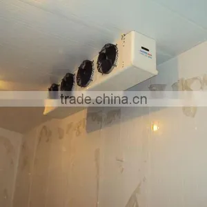 PU Foam Chiller Room for Dates With Bizter Multiple Compressor thumbnail-1