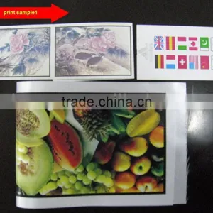 Automatic Flexo Fabric Label Printing Machine thumbnail-4