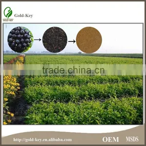 100% Pure Siberian Ginseng Root Extract Powder thumbnail-6