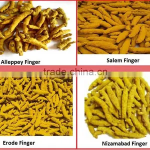 Quality Turmeric Finger for United Kingdom thumbnail-3