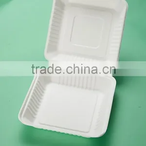 HL-99 9"x9" Japanese Sushi Disposable Food Packaging Box thumbnail-1