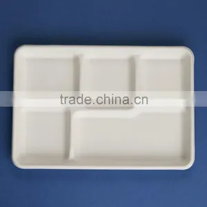 TY-06 12"x8" 5 Compartments Disposable Food Sugercane Tray thumbnail-3