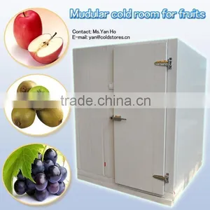 Modular Standard Cool Room for Fruits thumbnail-1