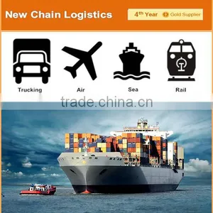 Shenzhen To Miami DDP Container Freight Services thumbnail-5