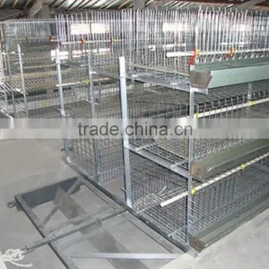 Automatic Feeding for Chicken Cage , Laying Hen , thumbnail-1