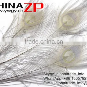 CHINAZP Leading Supplier Wholesale Cheap Full Eye Dyed Grey Long Peacock Tail Feathers thumbnail-4