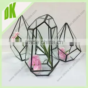 It`s Fragile and Afraid of Hard Sun Light or Big Amount of Water//geometric Glass Air Plants Tillandsia Terrarium thumbnail-1