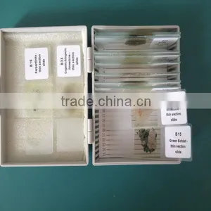 Different Mineral Thin Grinding Microscope Prepared Slide thumbnail-1