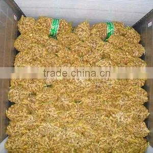 China Dry Ginger Export to Many Countries thumbnail-4