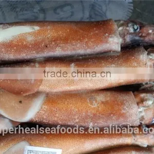 Frozen Argentina Illex Squid thumbnail-1
