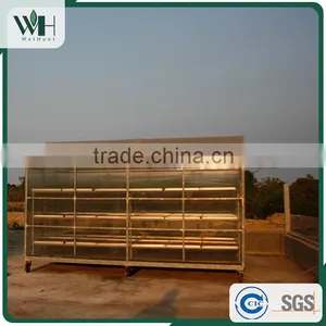 Vietnam Pure Natural Black Pepper 550gl 500gl for Extract thumbnail-5