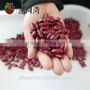 Dark Red Kidney Bean thumbnail-4