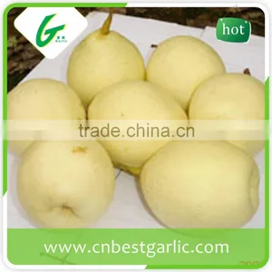 KOSHER Passed Chinese Bulk Crystal Fresh ya Pear thumbnail-3