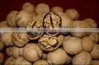 Chinese Dried Walnut Kernel for Sale thumbnail-1