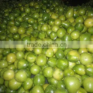 Chinese Fresh Pomelo thumbnail-1