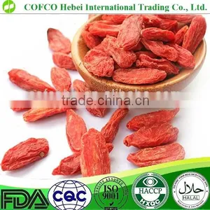 Goji Berries Chinese Medlar thumbnail-1