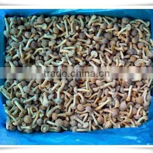 Material of Soup/iso Certification /china Frozen Food Mushroom thumbnail-3