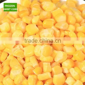 Grade A Quality Frozen IQF Sweet Corn Kernel thumbnail-1