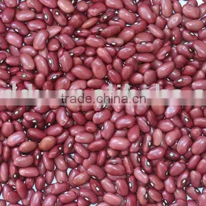 Red Kidney Bean thumbnail-1