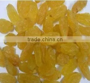 Industrial Tunnel Conveyor Belt Type Raisins Drying and Sterilizing Microwave Oven thumbnail-2