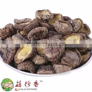 Free Shipping Premium Fresh Flower Shiitake Mushroom Spawn Cultivation thumbnail-3