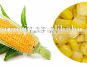 Hot Sale Fresh Corn Thresher Machine thumbnail-6