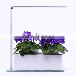 New Arrival Restaurant Oil Table Lamp thumbnail-1