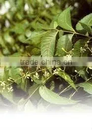 100% Pure & Natural Neem Oil - Agrochemicals thumbnail-1