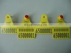 Animal Livestock Identification Cattle Ear Tags thumbnail-4