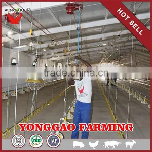 Hot Salling Poultry Feeding System for Automatic Poultry Farming Equipment for Chickens thumbnail-1
