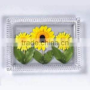 Plastic Plate thumbnail-1