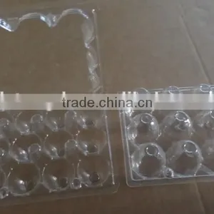 Clear Plastic Quail Egg Tray 12 Holes thumbnail-1