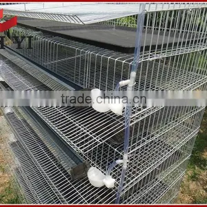 High Quality Assemble Quail Cage thumbnail-5