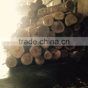 Natural Venner Plywood for Furniture or Decoration With Competitive Price! thumbnail-1