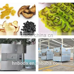 Vacuum Fruit Dryer thumbnail-1