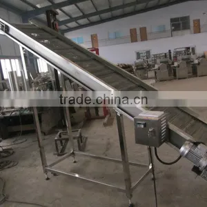 Mesh Belt Conveyor System thumbnail-1