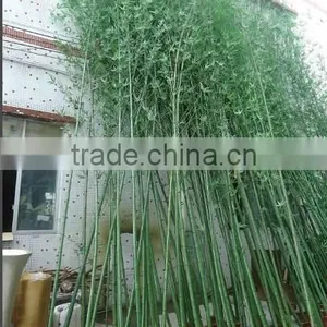 SJWS2015032404 Guangzhou Manufacturer Whole Sell Customized Garden Decoration Artifcial Fake Bamboo Tree thumbnail-4