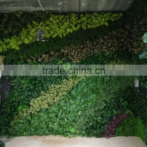Factory Wholasale Artificial Plants Wall for Decoration thumbnail-1
