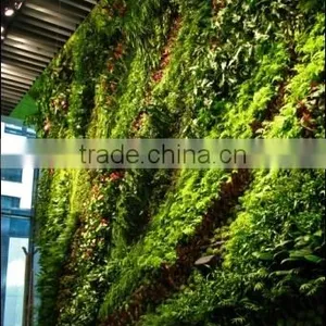 Decorative Home Decor Fake Green Wall Custom Factory Uv/water Proof Artificial Grass Wall thumbnail-1