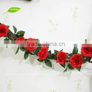 GNW FLV10 Orange Blossom Flower Balloon Flower Root Extract on Sale thumbnail-2
