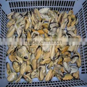 Frozen and Cooking Mussels thumbnail-1