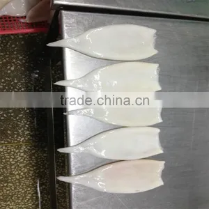 Interleaved Pacific Squid Tube (Todarodes Pacificus) thumbnail-4