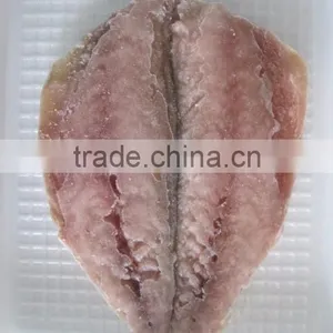 Horse Mackerel thumbnail-3
