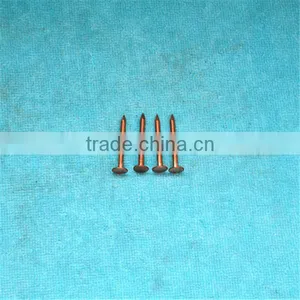 Concrete Brass Nail thumbnail-2