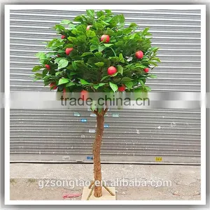 Realistic Mini Apple Plants Fresh Apple Fruits for Sale thumbnail-3