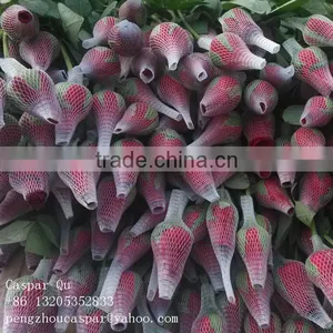Plastic Rose Bud Wrap Netting thumbnail-1