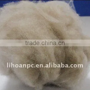 Dehaired GoatsWool Cashmere thumbnail-1