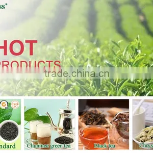 Organic Chunmee Tea, Chunmee Special, Grade Special 41022 thumbnail-5