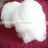 Dehaired Cashmere Fiber thumbnail-1